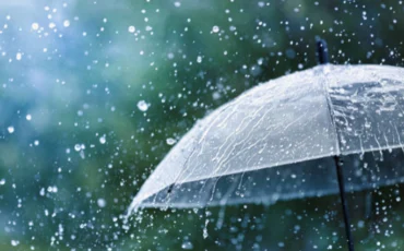 Welcome monsoon: Ayurveda way