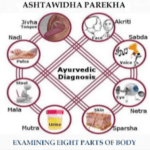 Ancient Non – invasive health monitoring system – Ashtavidha Pariksha
