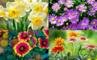 Vasant rutu – Season of Detox and self-care