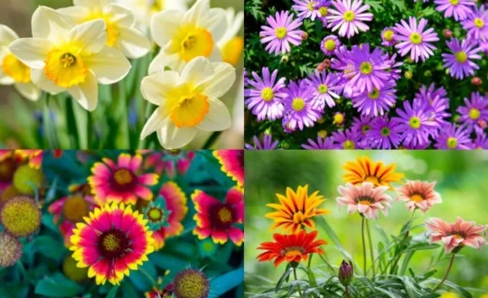 Vasant rutu – Season of Detox and self-care