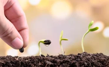 Women’s Hormone A Seeding Story