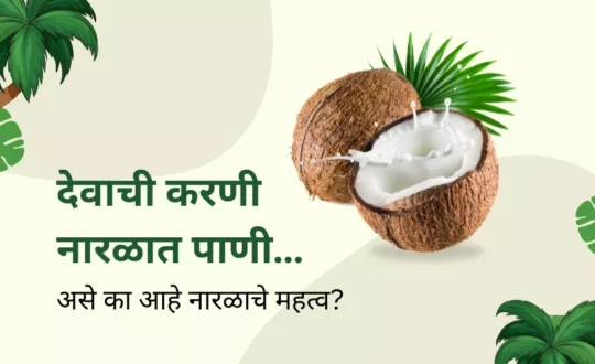 देवाची करणी नारळात पाणी… असे का आहे नारळाचे महत्व