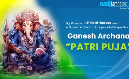 Significance of 21 Patri-leaves used in Ganesh Archana – An Ayurveda Perspective.