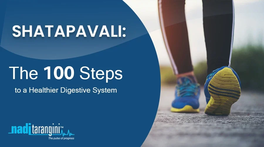 Shatapavali The hundred Steps to a Healthier Digestive System