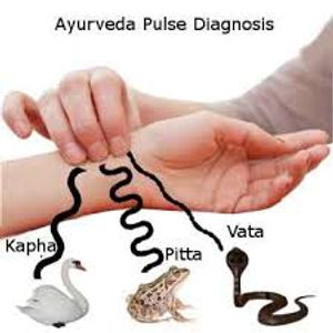 AYURVEDA-PULSE Diagnosis