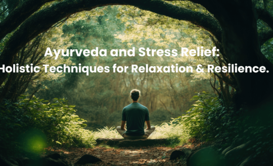 Ayurveda and Stress Relief Holistic Techniques for Relaxation and Resilience. Blog Banner Nadi Tarangini