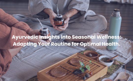 Nadi Tarangini blog banner Ayurvedic Insights into Seasonal Wellness Adapting Your Routine for Optimal Health.